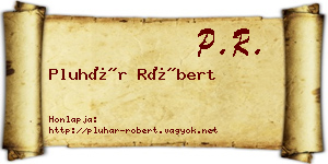 Pluhár Róbert névjegykártya